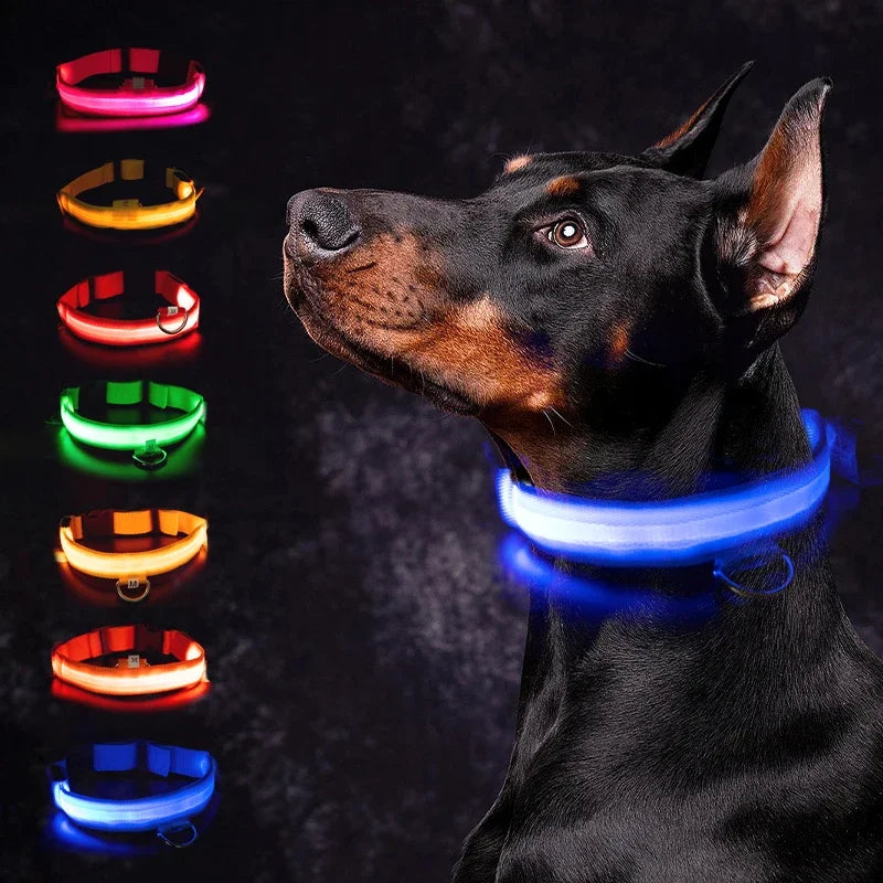 Custom Waterproof Flashing Light Up Reflective Pet Collar, Adjustable Recharge, Luxury LED Dog Luminous Collar, Dog Para Perro