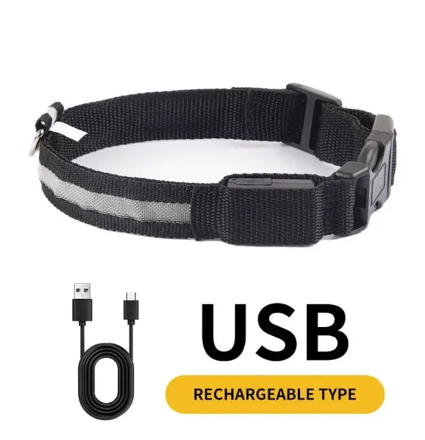 COLLAR LED PARA PERROS (todas las tallas)
