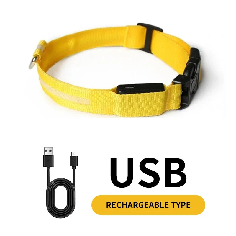 COLLAR LED PARA PERROS (todas las tallas)