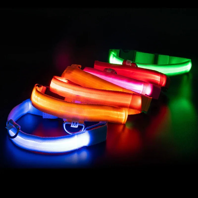 Custom Waterproof Flashing Light Up Reflective Pet Collar, Adjustable Recharge, Luxury LED Dog Luminous Collar, Dog Para Perro