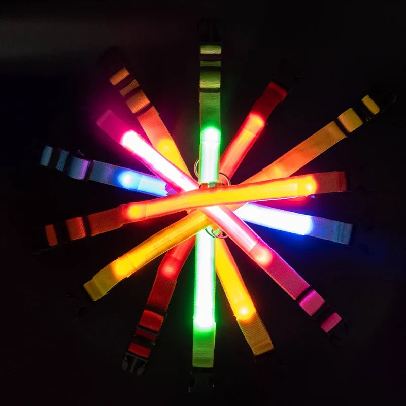 Custom Waterproof Flashing Light Up Reflective Pet Collar, Adjustable Recharge, Luxury LED Dog Luminous Collar, Dog Para Perro