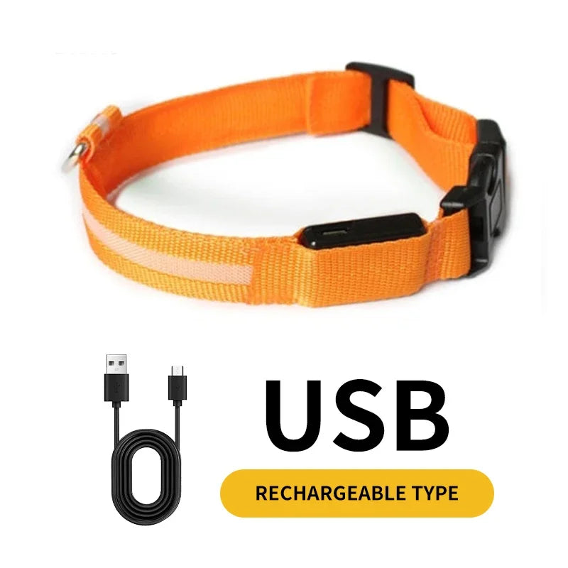 COLLAR LED PARA PERROS (todas las tallas)